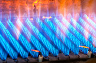 Fala gas fired boilers